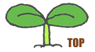 TOPへ戻る